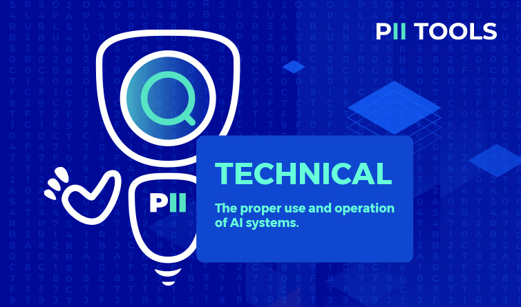 EU Act Technical Requirements Article by PII Tools