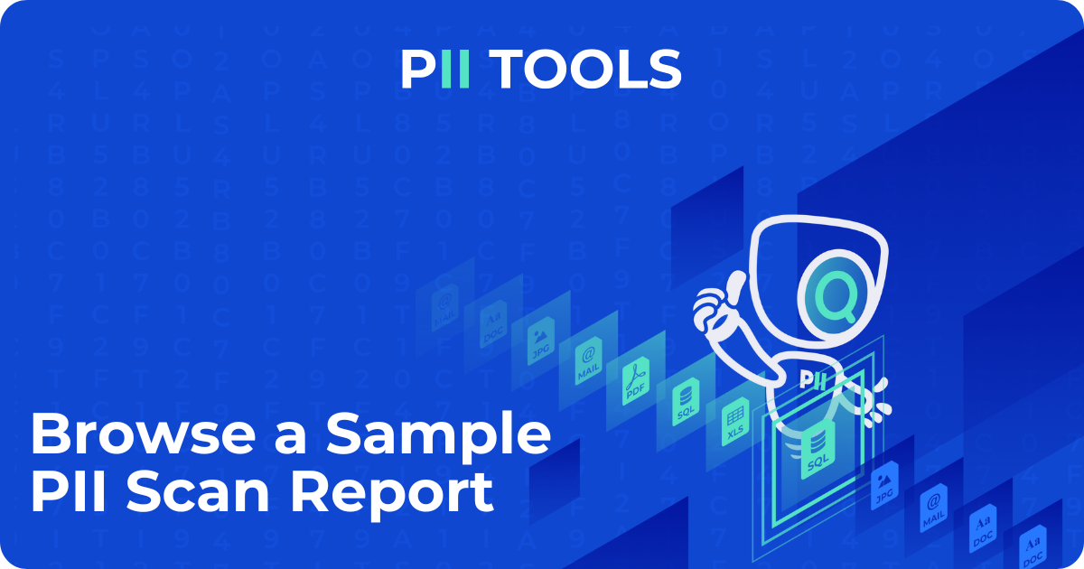 Browse a Sample PII Scan Report by PII Tools