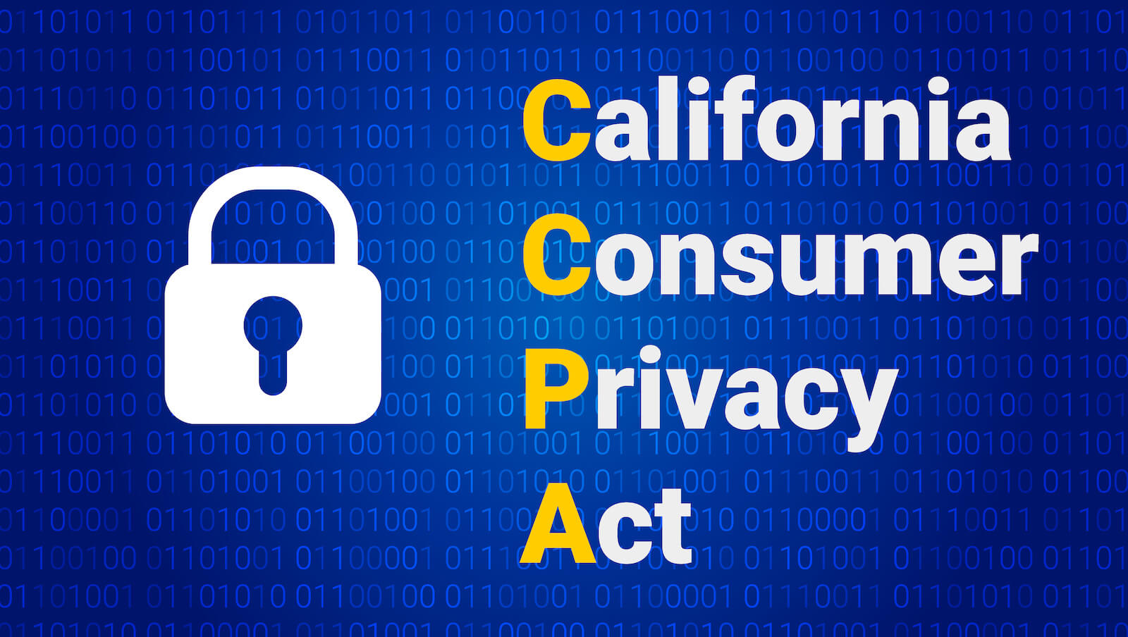 CCPA Article by PII Tools